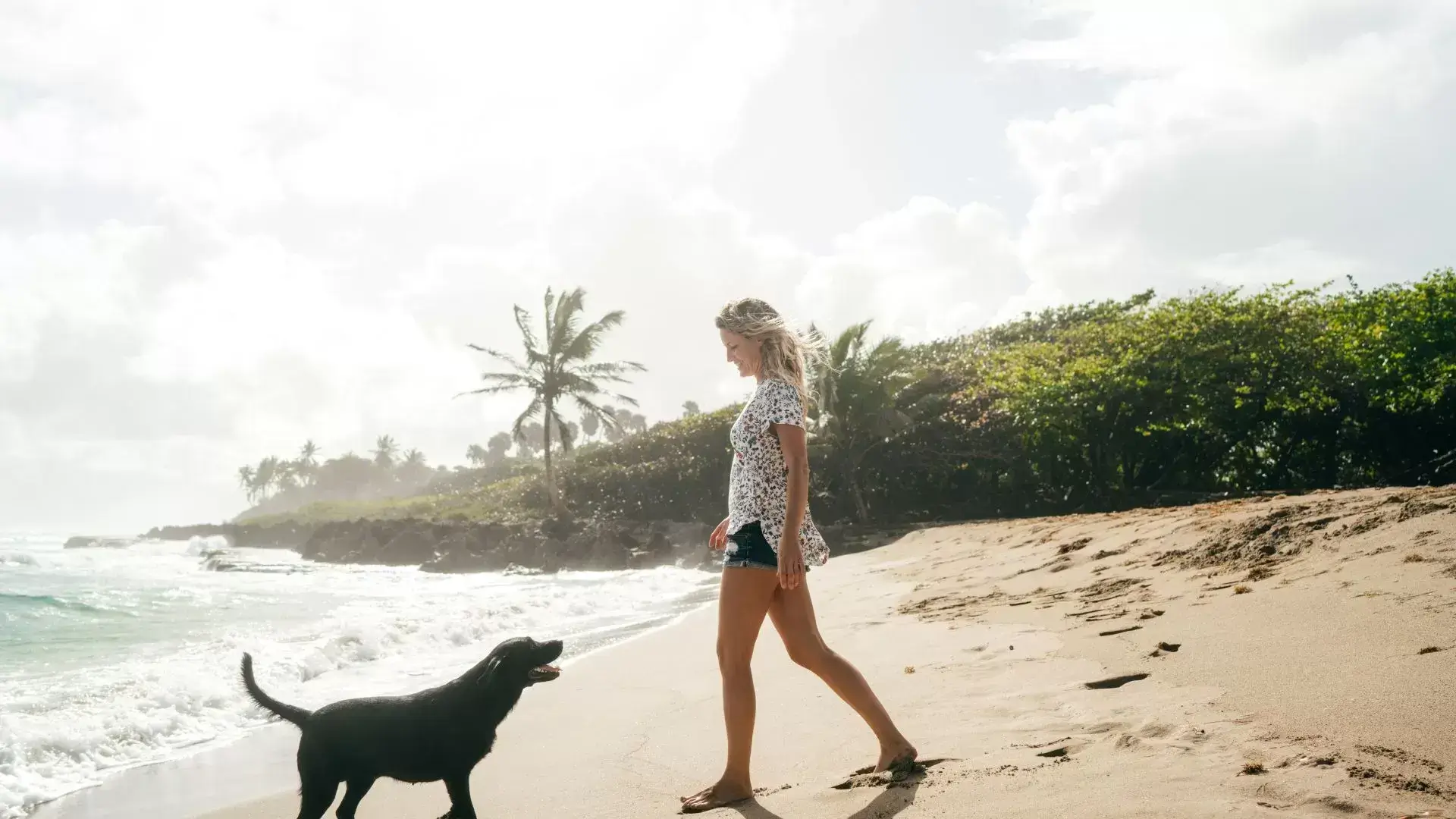 Woman walking toward her dog on a sandy beach, both sharing a calm moment of connection, symbolizing healing and self-compassion supported by Mississauga Divorce Counselling Therapy.